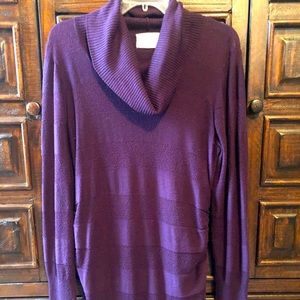 Tunic Cowel Neck Sweater